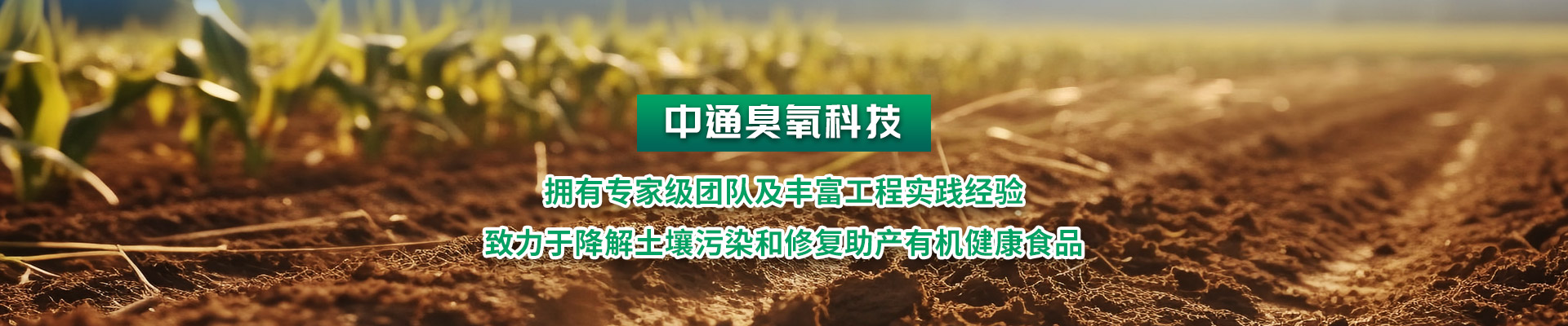 拉斯维加斯电子娱乐网站