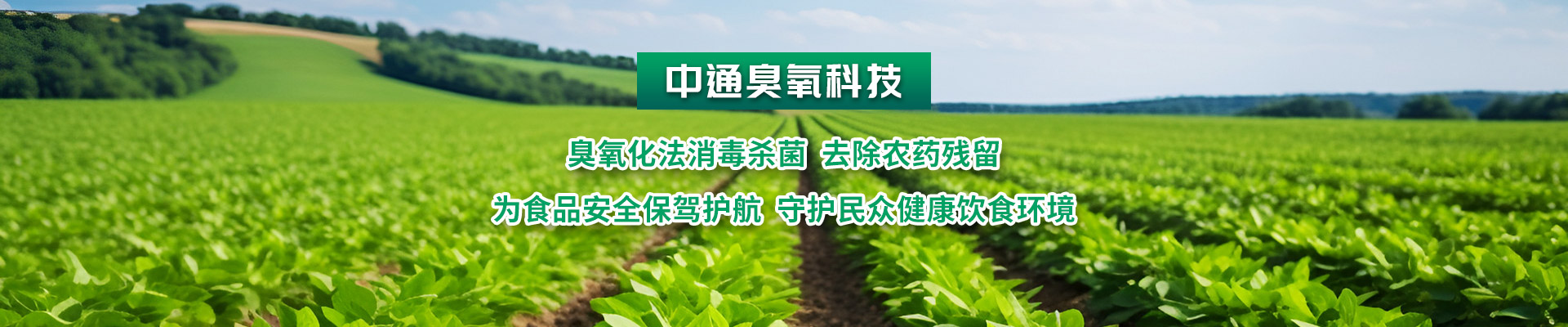 拉斯维加斯电子娱乐网站